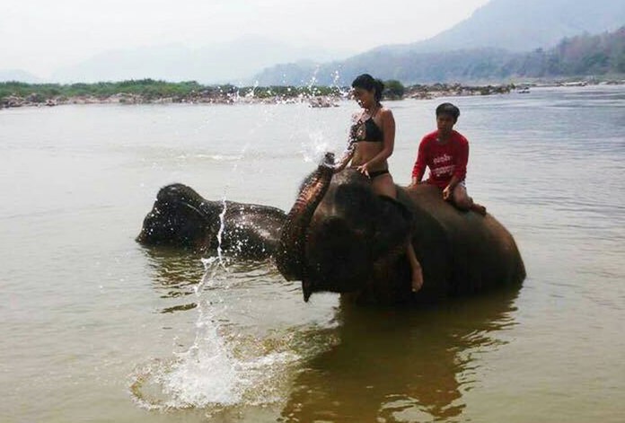 Priyanka Yoshikawa (left) rides an elephant in the Mekong River in Luang Prabang, Laos. (Prianka Yoshikawa via AP)