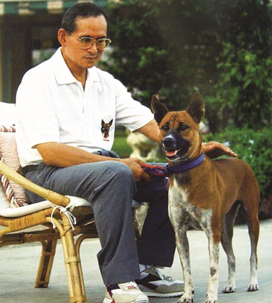 His Majesty the King sits with his beloved adopted stray dog Khun Thongdaeng in Bangkok Monday, December 2, 2002. 