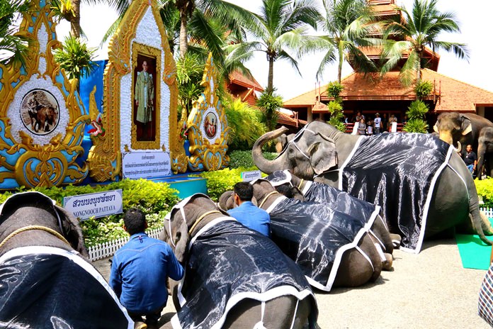 Nong Nooch Tropical Garden paid tribute to HM the late King with an elephant merit-making ceremony.