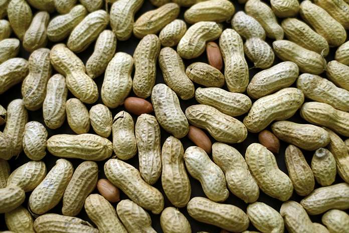 A study published Oct. 26, 2016, in the Journal of Allergy and Clinical Immunology says nearly half of those treated with a skin patch for peanut allergy sufferers were able to consume at least 10 times more peanut protein than they were able to consume prior to treatment. (AP Photo/Patrick Sison, File)