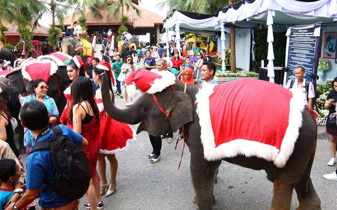Elephants at Nong Nooch Tropical Gardens are dressed for the occasion.