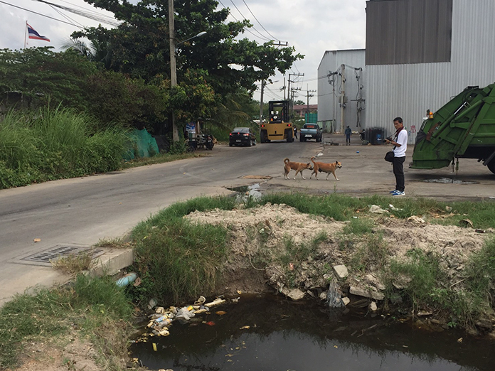Residents are being affected by the smells coming from the Sukhumvit Soi 3 dump site.