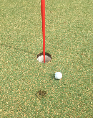 Greg Jones can’t get much closer to a hole in one. 