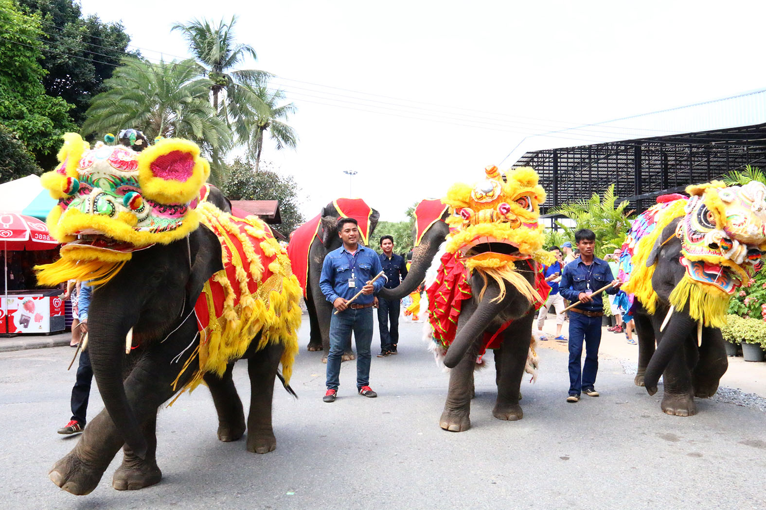 Nong Nooch elephants perform a lion and dragon parade.