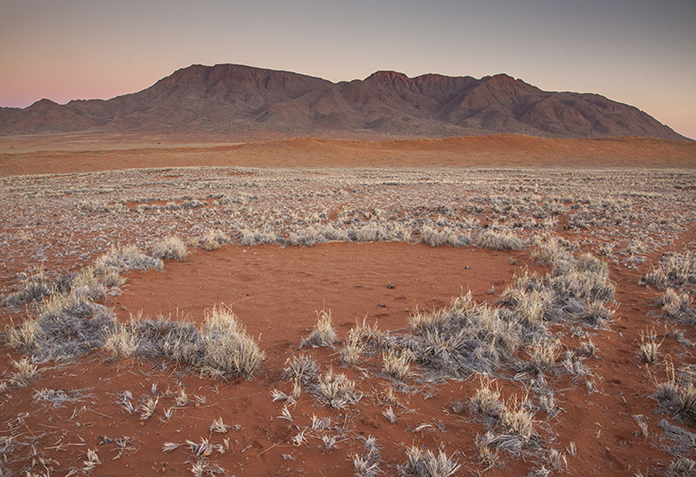 In this photo provided by Jen Guyton, shows one of the mysterious “fairy circles” in the Namib Desert that dot the area with circular barren patches. Scientists have come up with a complex theory involving termites and plants to explain what’s happening. (Jen Guyton/www.jenguyton.com via AP)