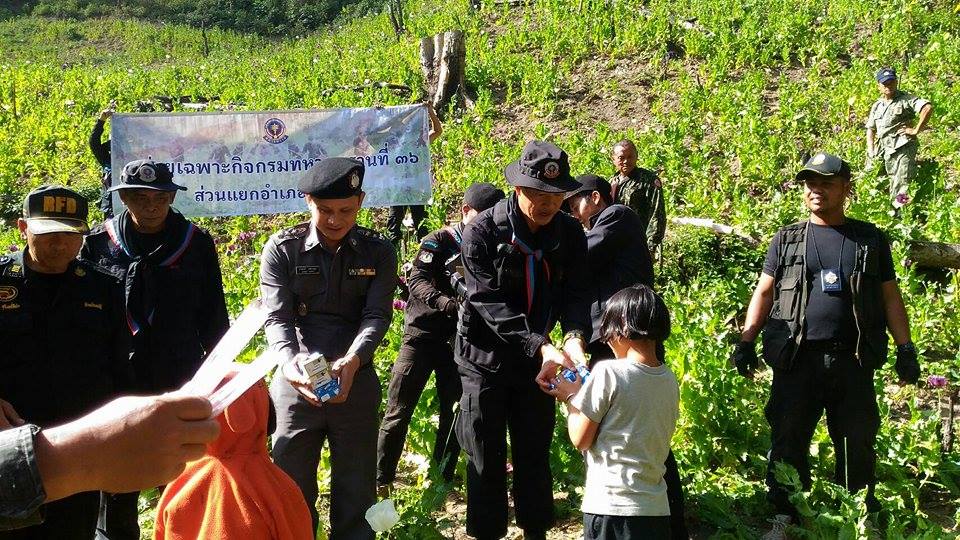 The 36th Ranger Regiment led by Col. Pat Wongsarapee distributed food and milk to students in Om Koi in an area known for growing opium poppies in a bid to educate and reduce the amount of cultivation of the illegal plant.