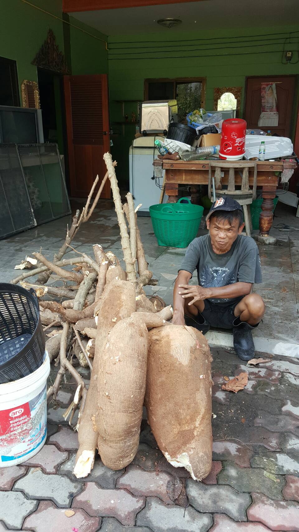 05 f-M-03-07 Monstrous tapioca pic 2