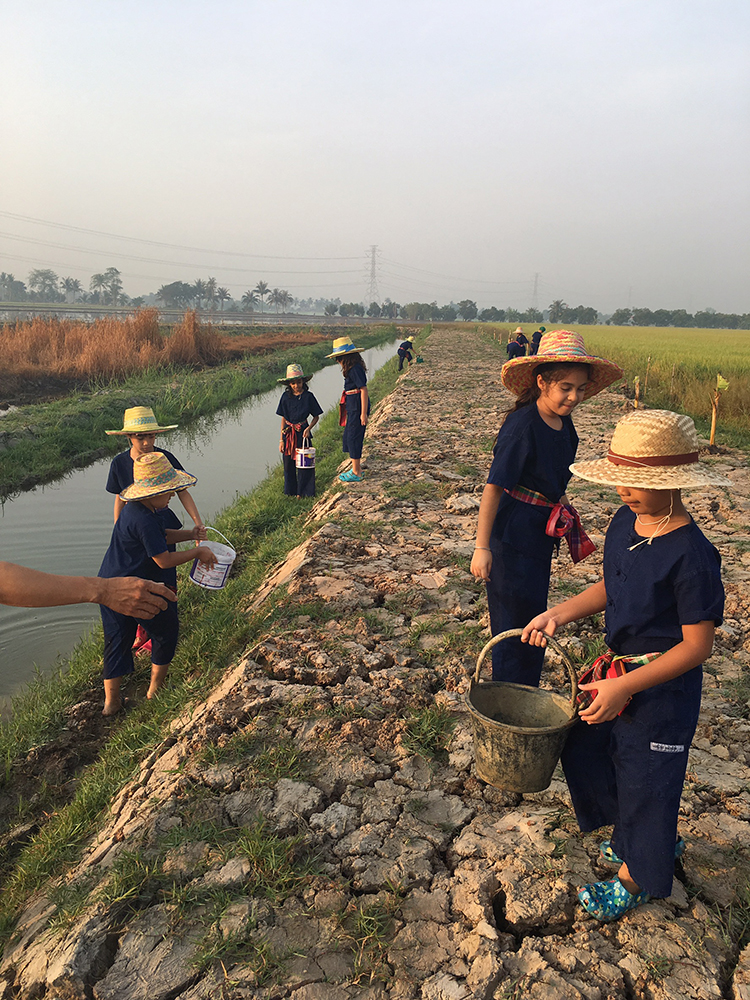 The children form a chain to carry water up from the irrigation canal.