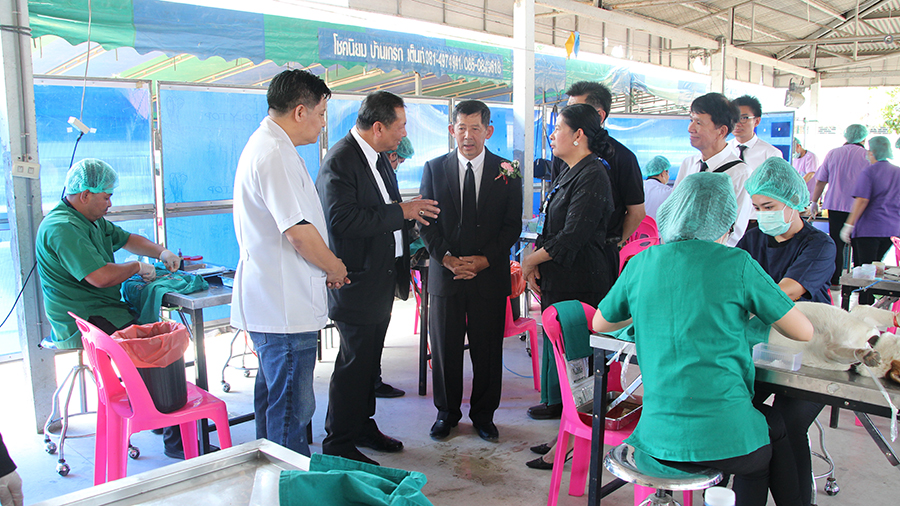 Mayor Anan Charoenchasri kicked off 84 days of free rabies vaccinations and pet sterilization to control the stray dog and cat population.