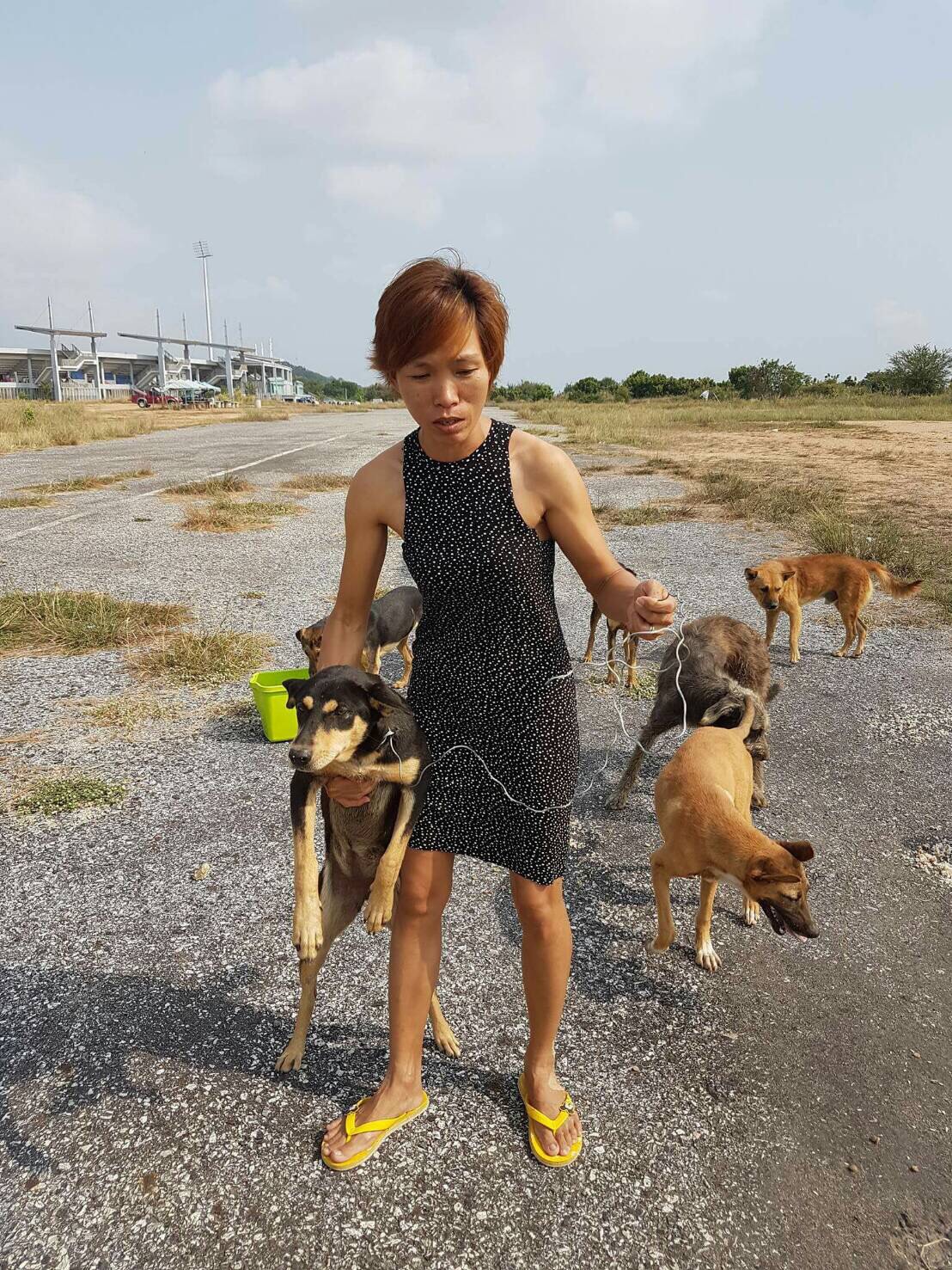 Ornranong Cupser spotted a local dog running out of a construction site with a wire around its neck after Cambodian workers there approached her and asked to buy some of her dogs, telling her they planned to eat them.