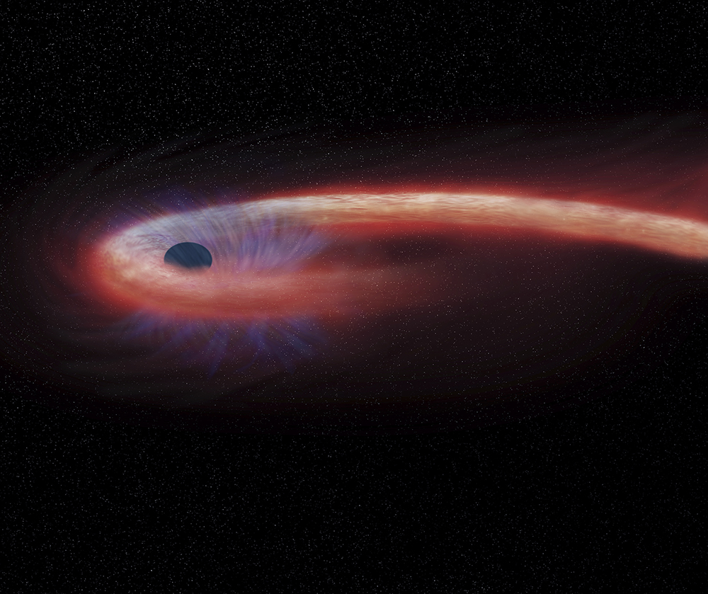 This artist rendering provided by NASA shows a star being swallowed by a black hole, and emitting an X-ray flare in the process. (NASA/Chandra X-ray Observatory/M. Weiss via AP)