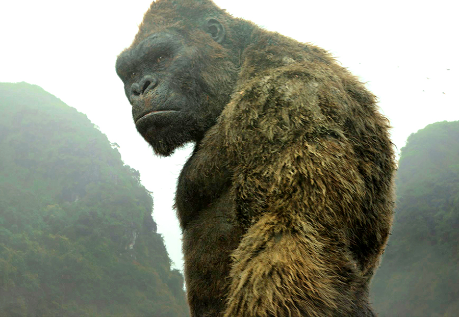 This image released shows King Kong a scene from, "Kong: Skull Island." (Warner Bros. Pictures via AP)