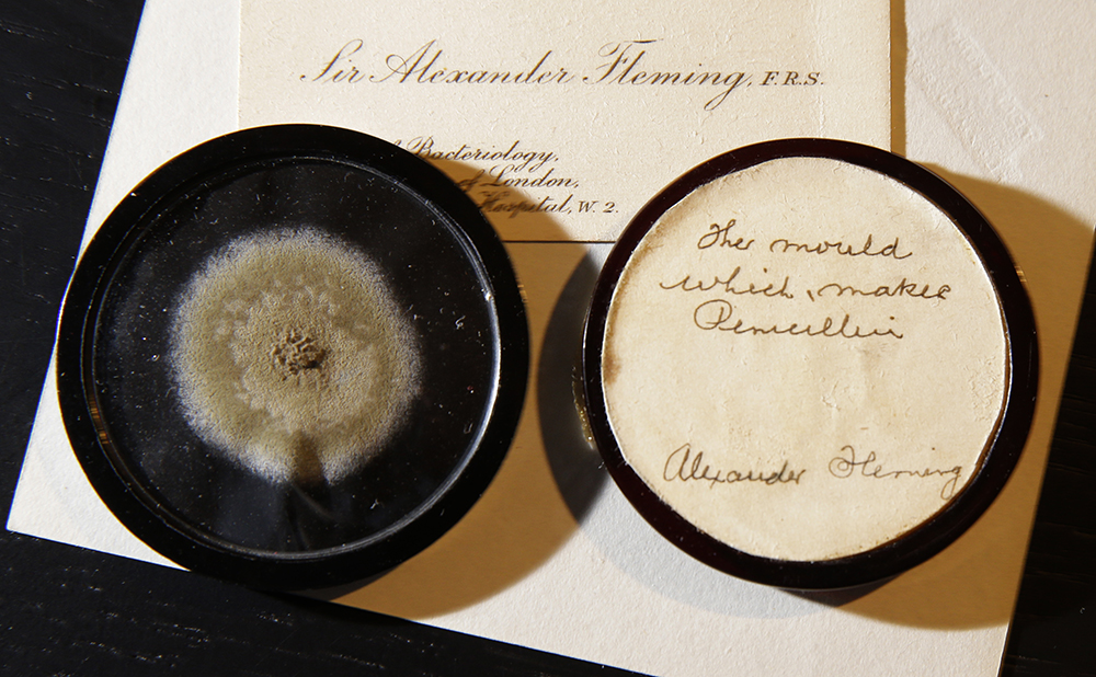 A capsule of original penicillin mold from which Alexander Fleming made the drug known as penicillin on view at Bonham's auction house in London. (AP Photo/Alastair Grant)