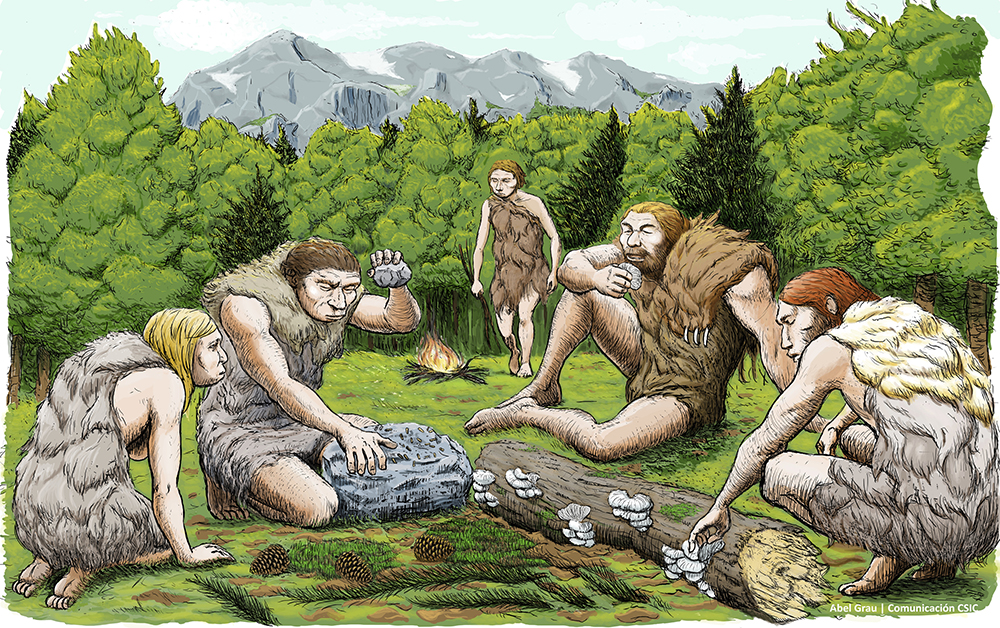 This drawing provided by Abel Grau Guerrero shows mostly vegetarian Spanish Neanderthals munching on mushrooms, pine nuts and moss. (Abel Grau Guerrero via AP)