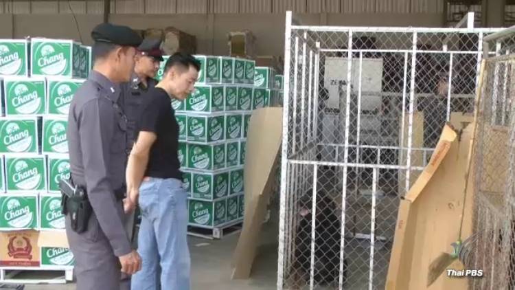 Thailand News 06-03-17 5 PBS Man killed by three Rottweiler dogs 1
