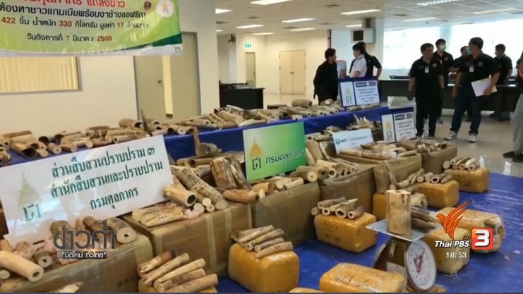 Thailand News 08-03-17 2 PBS Customs seized 17 million baht worth of African ivory 1JPG