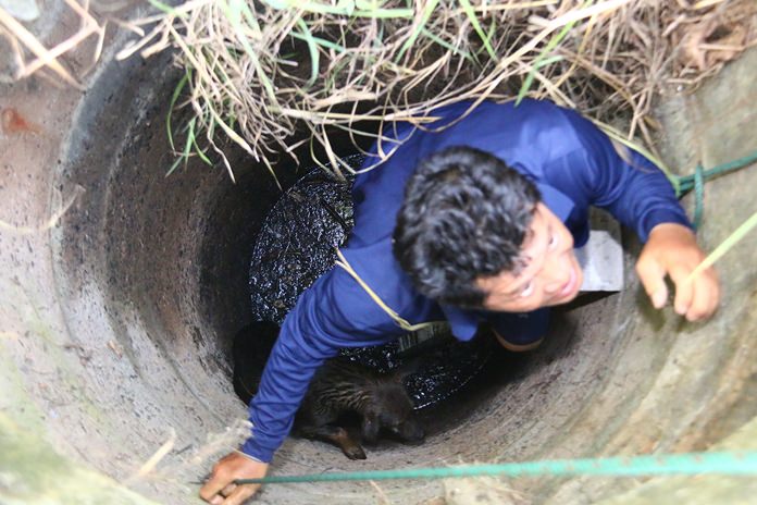 Petty Officer 1st Class Somsak Nukajad saved a dog from a watery death by pulling the pooch from a 15-meter well.