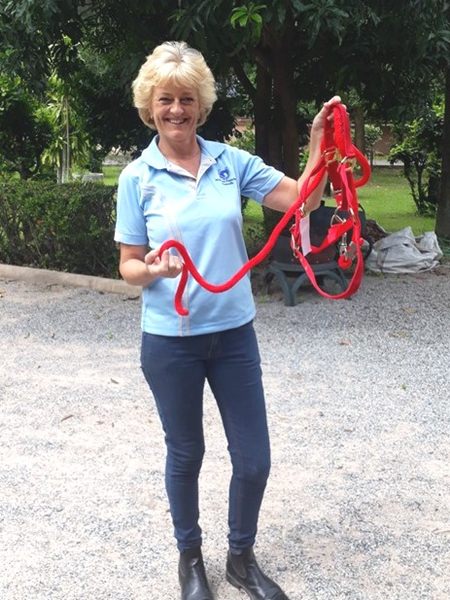 Sandra shows the new halters to assist the helpers when leading the pony.