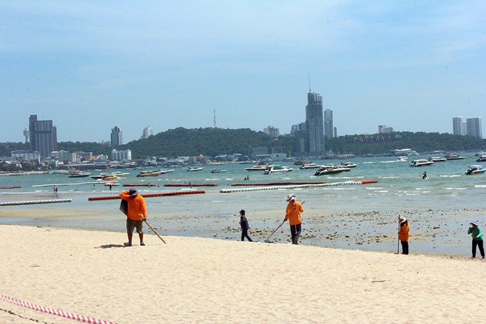 Pattaya workers gave the middle of Pattaya Beach a minor facelift, removing garbage and natural hazards and restoring the sandy surface.