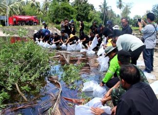 20,000 fish released in Nong Plalai