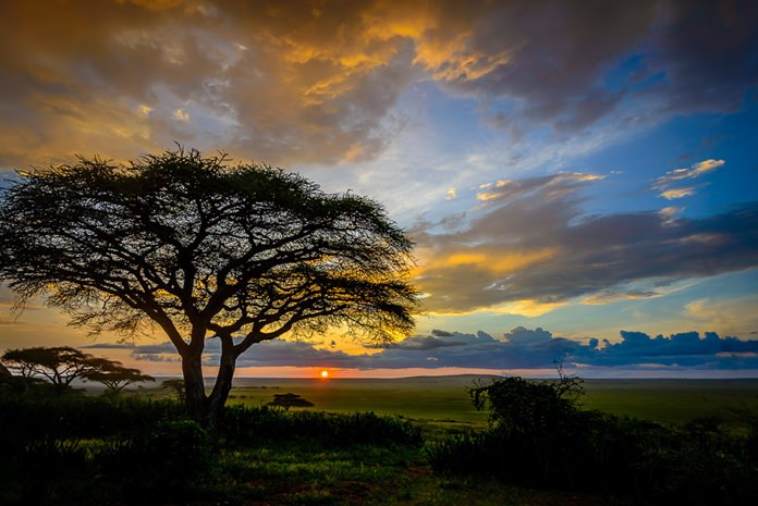 Beautiful and mesmerizing - sunset over the plains of Tanzania.