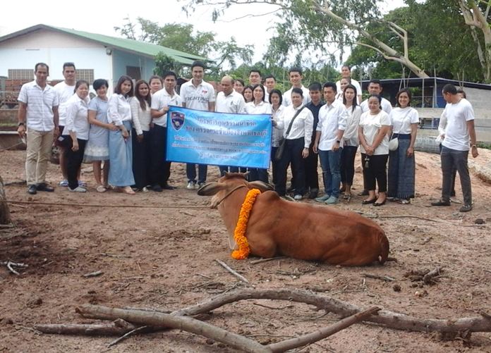 Superintendent Pol. Col. Songpoad Sirisuka and his top lieutenants honored HM the King through his Morality Leads Life project by saving two cows from the slaughterhouse in honor of the monarch’s 65th birthday July 28.