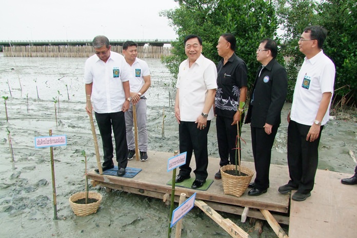 The Department of Public Works, and Town and Country Planning held a tree-planting activity for HM the King’s birthday on July 25.