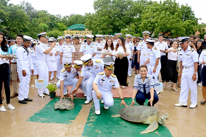 Vice Adm. Sucheip Wangmaitree and friends release a rescued 20-year-old female green turtle and 7-year-old male green turtle.