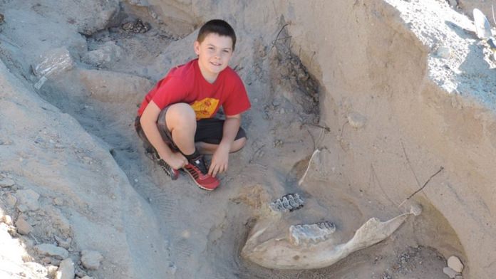 Jude Sparks with the dinosaur fossil. (Credit: Peter Houde)