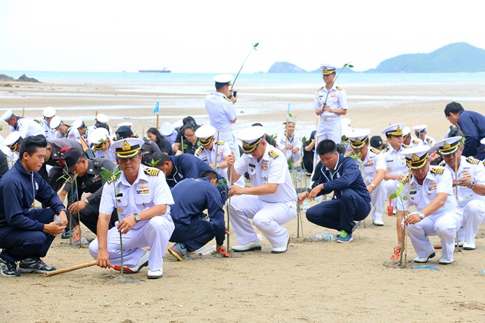 Naval officers, sailors, students and members of the public plant mangrove trees to honor HM Queen Sirikit on her birthday.