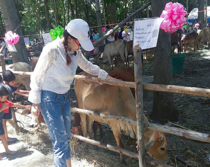 At Jittapawan Collage, 59 cows and buffalos were spared from slaughter while 10,000 snails, fish, frogs and other marine life were released into the wild.