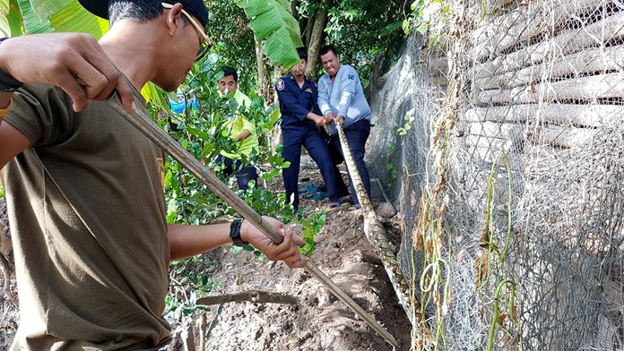 Animal-control officers were called to the Baan Pak Tung Prong Agricultural Center at the Sattahip Naval Base after a python got caught in a net.