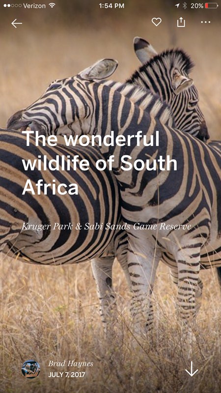 This screenshot taken from a mobile phone and provided by Lonely Planet shows a post from the company’s new app “Trips.” (Lonely Planet via AP)