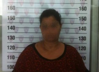 Firuza Najmetdinova was arrested on immigration charges for allegedly forcing women into prostitution.