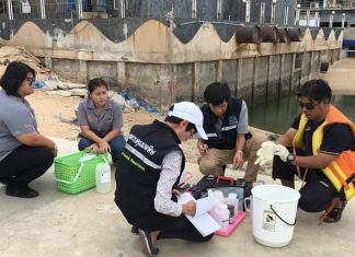 Water samples showed Pattaya Bay was 70 percent over the threshold for water that is considered safe to swim in.