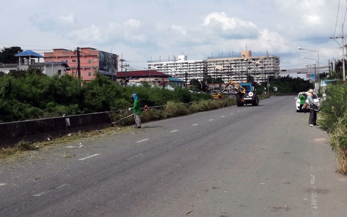 The gardeners were out in East Pattaya, cutting back wild grass along the railway parallel road and Soi Khao Noi.