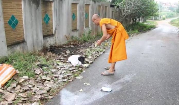 Preecha Intasaro came to the rescue of five dogs tied up in a sack and tossed to the side of the road near Pattaya.