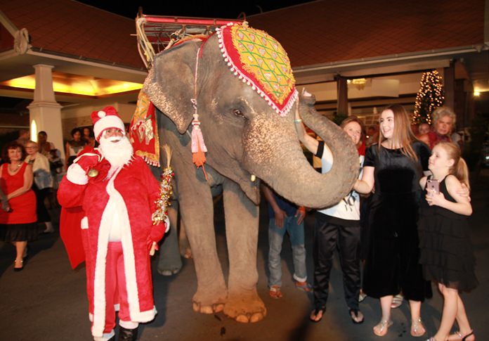 Santa made an appearance at the Thai Garden Resort where he traded in his sleigh for an elephant loaded with holiday gifts. The sight of old St. Nick on a pachyderm attracted plenty of photos and guests. Area children were rewarded with toys, sporting goods and other presents. Christmas this year was celebrated with tradition and gusto throughout Pattaya, as only Pattaya can provide.