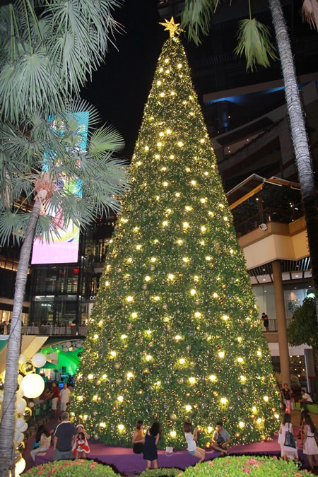 They don’t come much bigger than the Christmas tree at Central Festival Pattaya Beach.