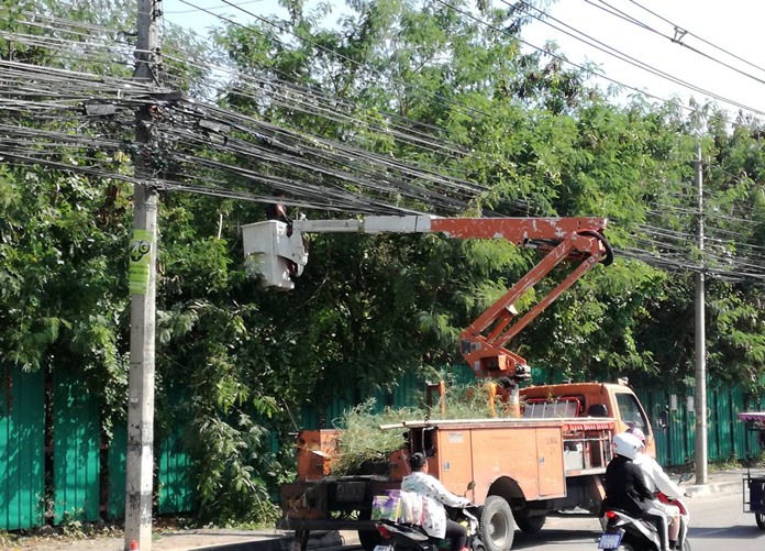 The Provincial Electricity Authority trimmed trees on North Road to prevent power outages.