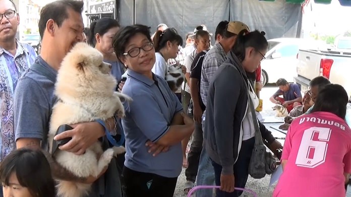 Area health officials reported that three dogs have died from rabies but no people have succumbed to the disease in the Pattaya area.
