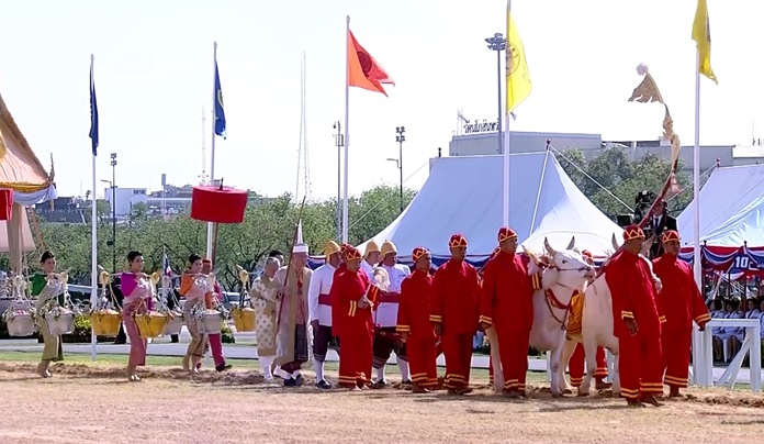 Two sacred cows plough the ceremonial ground, while rice seed is sown by court Brahmins followed by four ‘Nang Thepi’ (or consecrated women) carrying gold and silver baskets filled with rice seed.