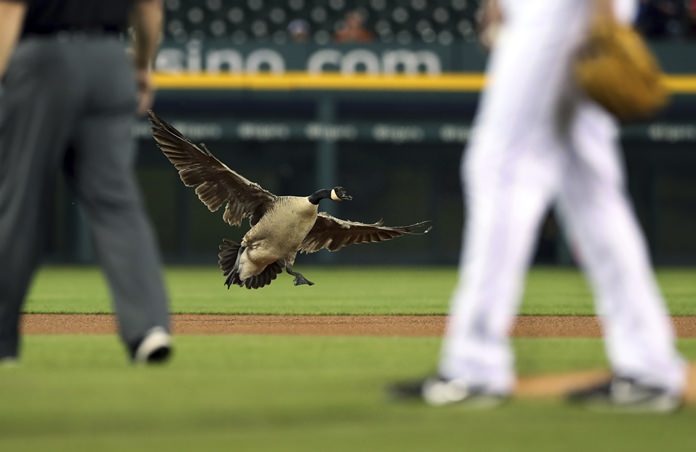 (AP Photo/Carlos Osorio)