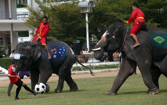 A student of Ayutthaya Wittayalai School controls a ball against elephants during a friendly soccer match between the students and elephant handlers in Ayutthaya. The school football team discovered a new meaning to “heavyweight opposition” on Tuesday when it played against a troop of elephants who were painted in the colors of sides competing in the World Cup. The idea was to raise awareness of the danger of betting on sport, which is illegal in Thailand, and which always spikes as major tournaments approach. (AP Photo/Sakchai Lalit)