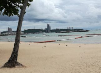 Kanrapa Mukdasanit of the Disease Control Department is imploring tourists and locals to properly dispose of their leftover food, trash and other waste.