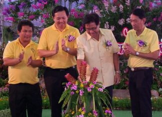 Deputy Gov. Chaichan Iamcharoen (2nd right) opens the “panmai-gnam aramchon”, or “fancy plants” event to showcase Chonburi’s unique plants and trees.