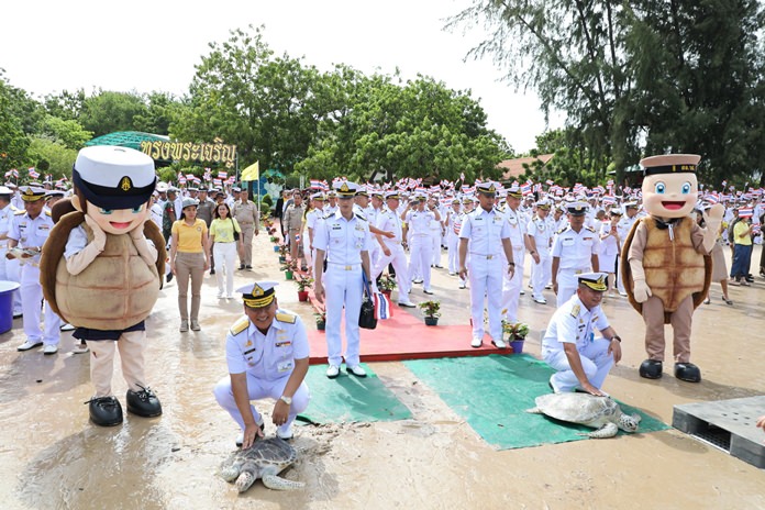 Vice Adm. Warah Taenkum, commander of the Air Coastal and Defense Command, leads military and civilians in releasing sea turtles and sea creatures of various breeds from the Sea Turtle Conservation Center in Sattahip.