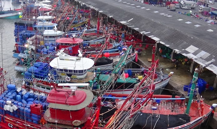 Thailand in need of 53,000 in fishing industry Pattaya Mail