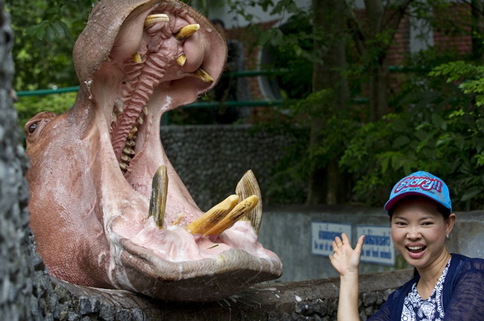 In this Wednesday, Aug 15, 2018 photo, a woman poses for a picture with a hippopotamus at the Dusit Zoo in Bangkok. (AP Photo/Gemunu Amarasinghe)