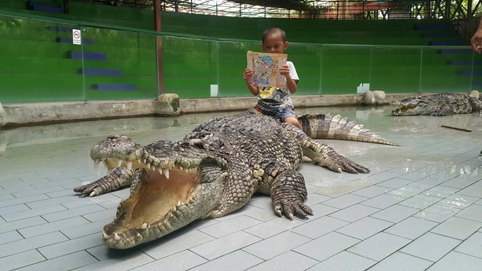 This student was so relaxed on the back of a croc he had time to read!